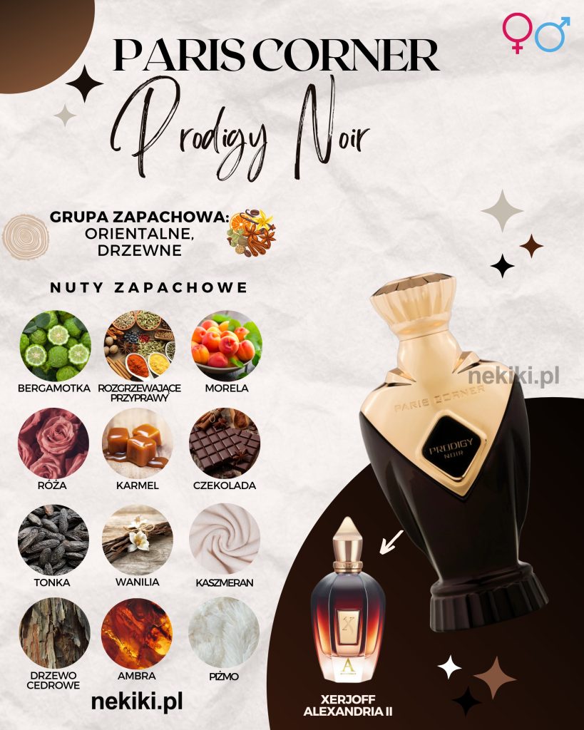 Paris Corner Prodigy Noir 100ml
