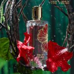 Paris Corner Ibisco Nirvana 65ml