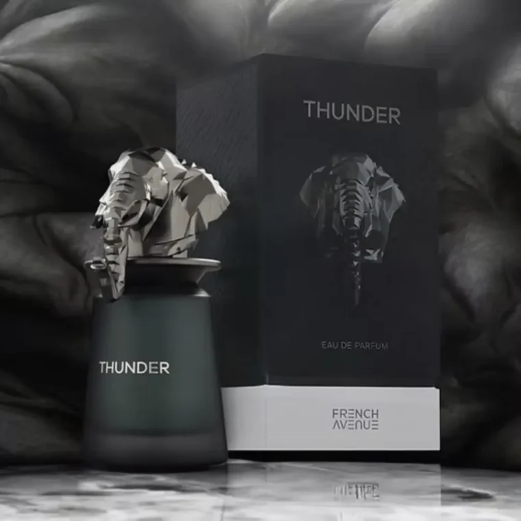 French Avenue Thunder 100ml EDP